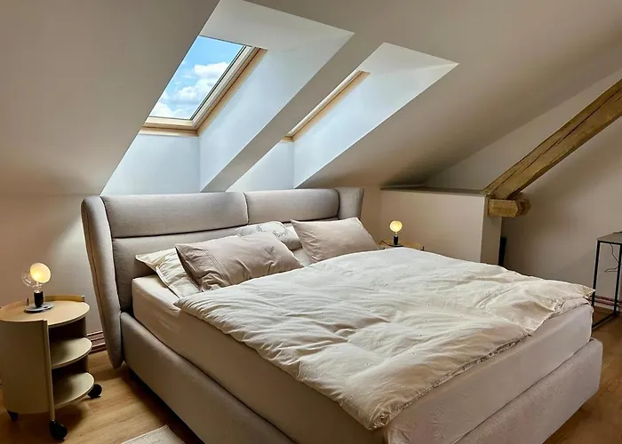 The Art Nest Apartament